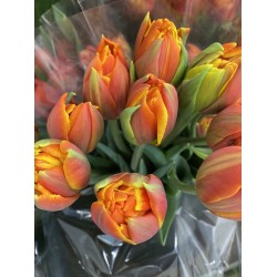 Bouquet de tulipes oranges