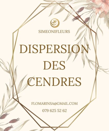 Dispersion des cendres