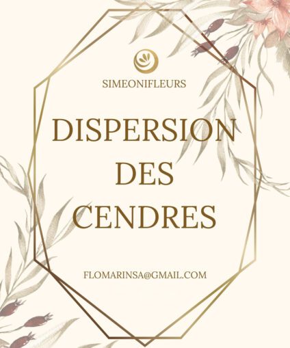 Dispersion des cendres