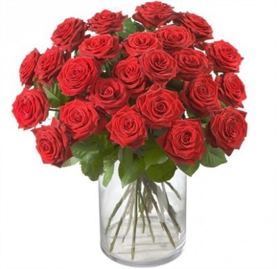 24 roses rouges