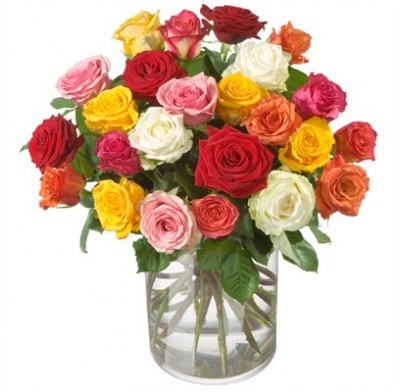 Bouquet de roses multicolores (24 roses)