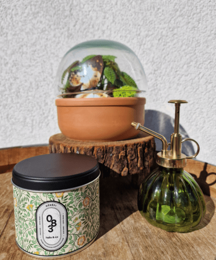 Terra – Softness Set