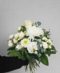 Blanc et Chocolat – Image 2