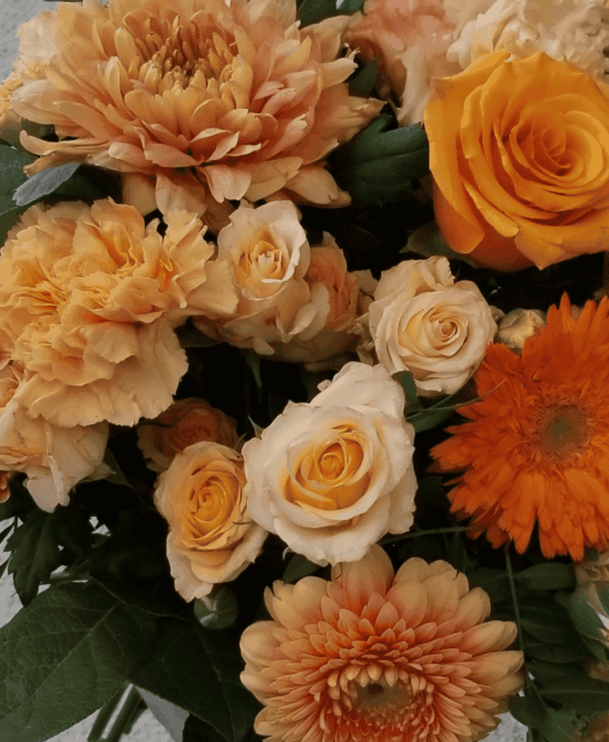 Orange et Chocolat – Image 2