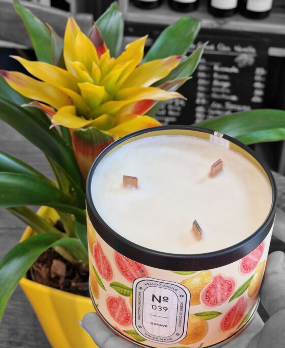 Guzmania x HelloCandle N°039 – Image 2