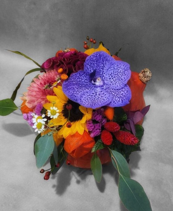 Courge d'automne – Image 2