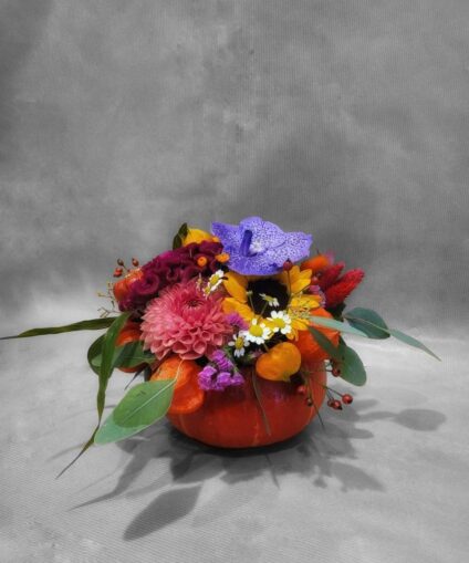 Courge d’automne