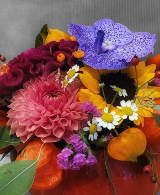 Courge d'automne – Image 3