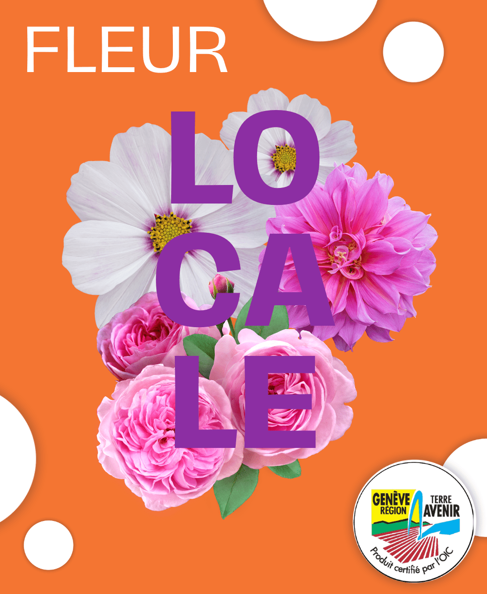 Composition piquée GRTA