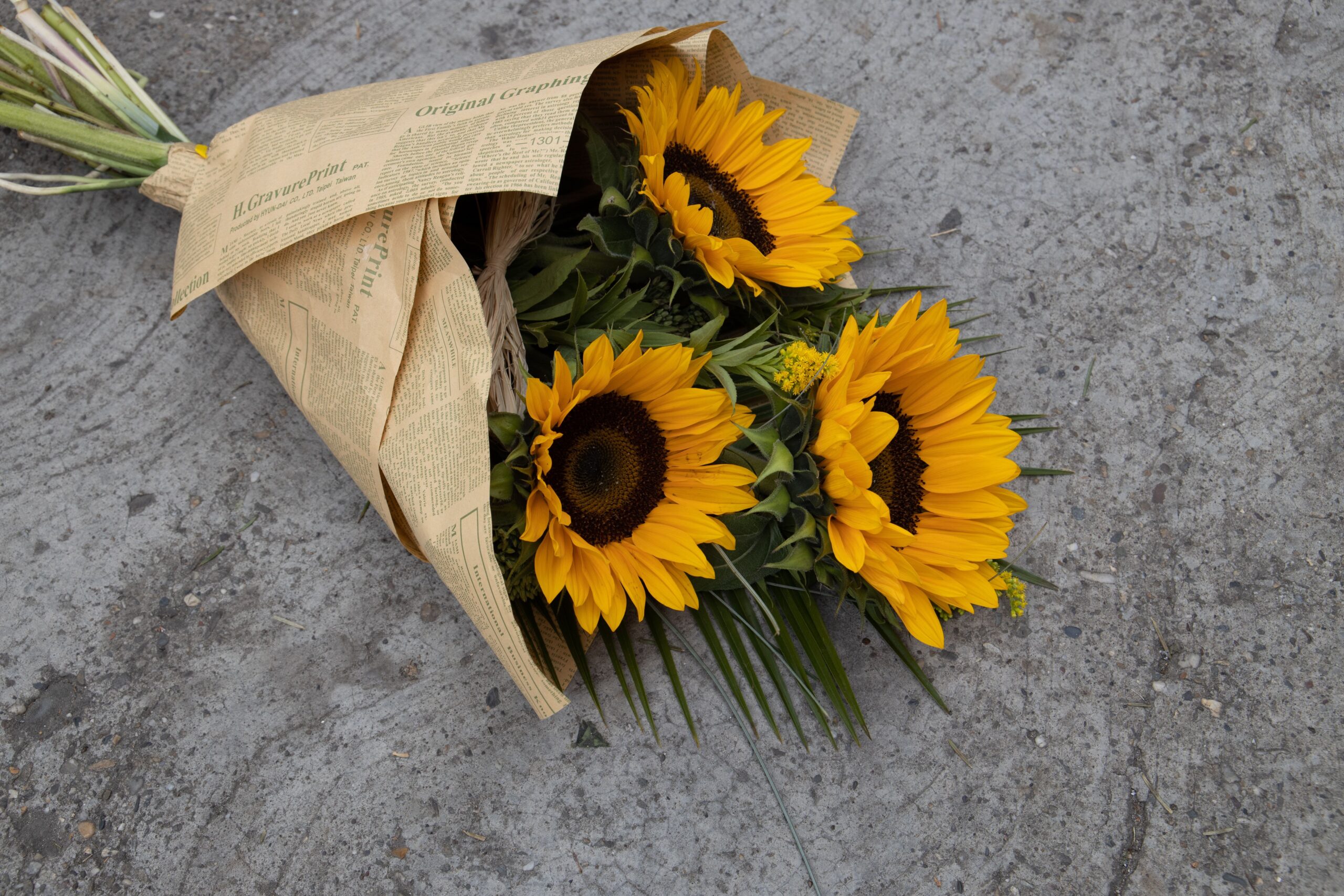 bouquet de tournesol sur une tombe, hommage